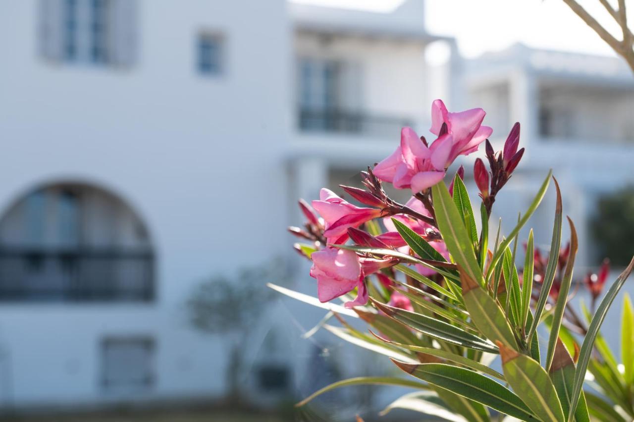 Sea Lilies Suites Pláka 外观 照片